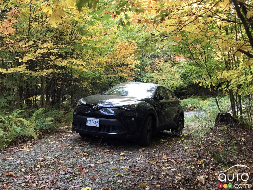 Le Toyota C-HR 2020, parmi les feuilles d'automne